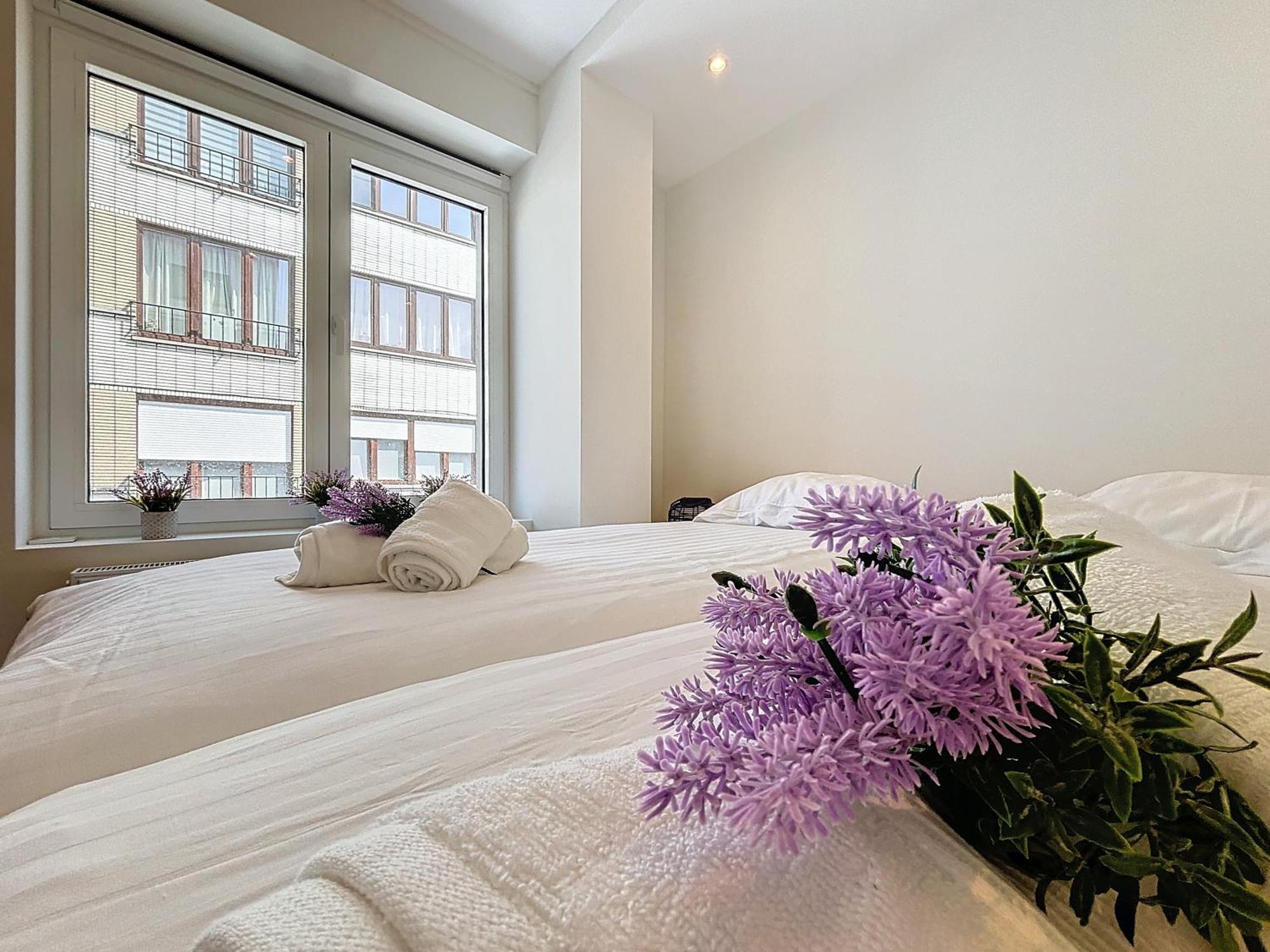 Appartement Flat Ma Colombe - Oyat & Hirondelle La Panne